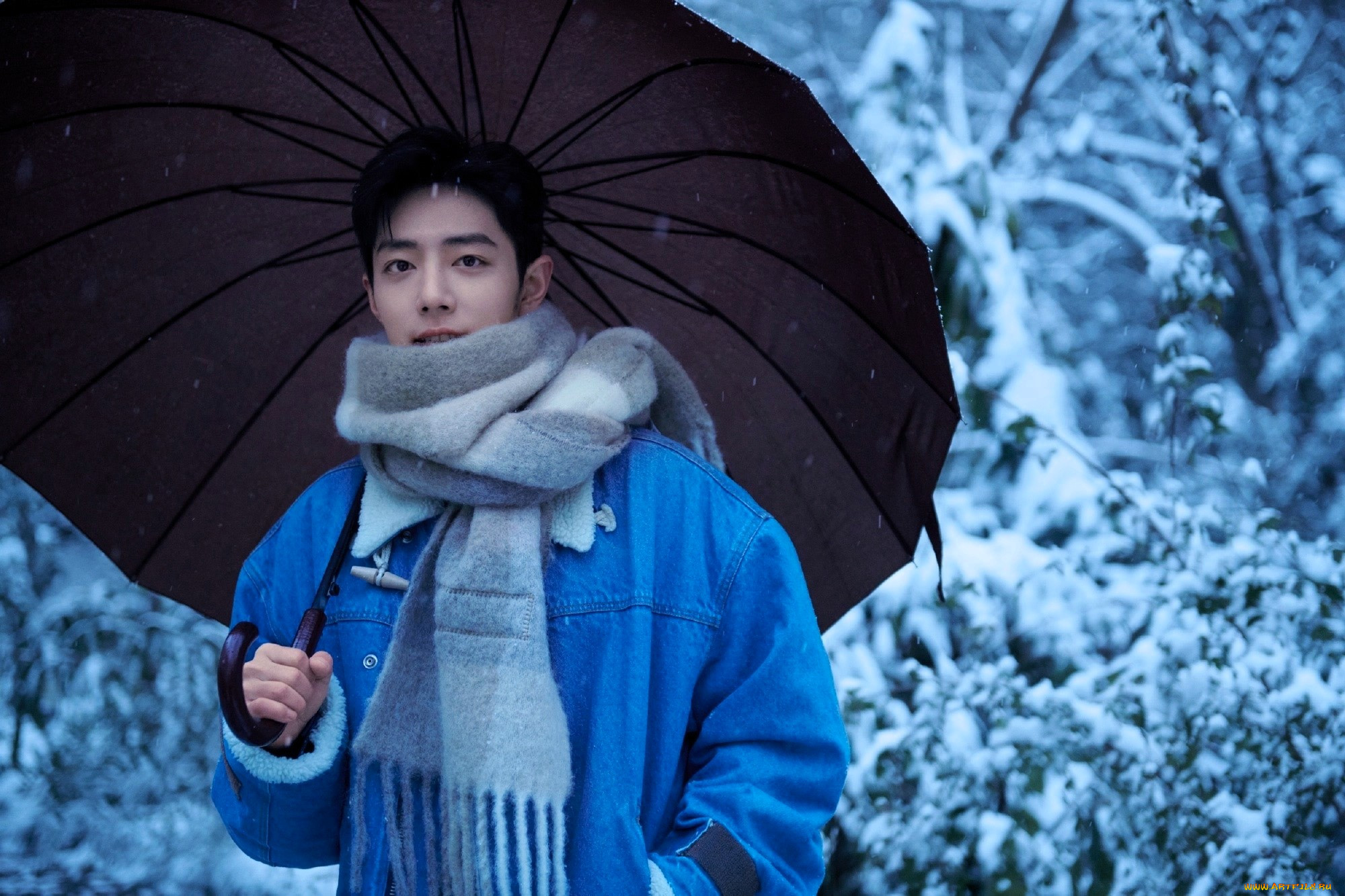 , xiao zhan, , , , , , 